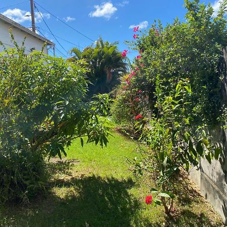 Maison Petit Paradis Basse-Terre Esterno foto