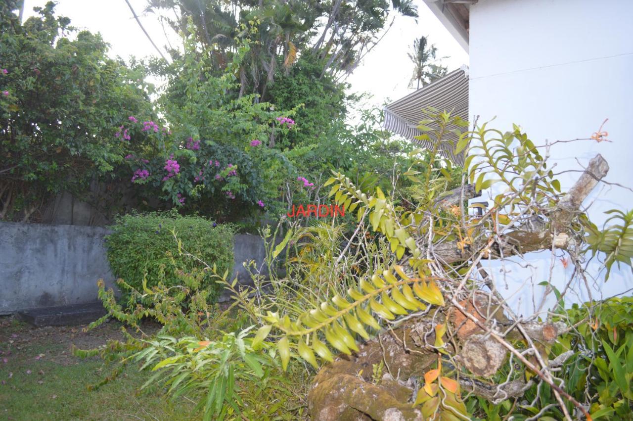 Maison Petit Paradis Basse-Terre Esterno foto